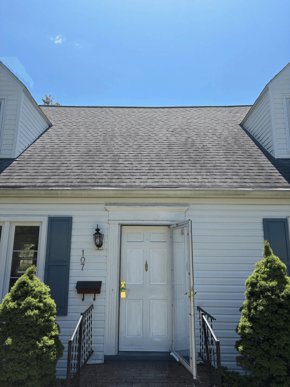 Before — Roof Soft Wash — Years of Buildup Gone