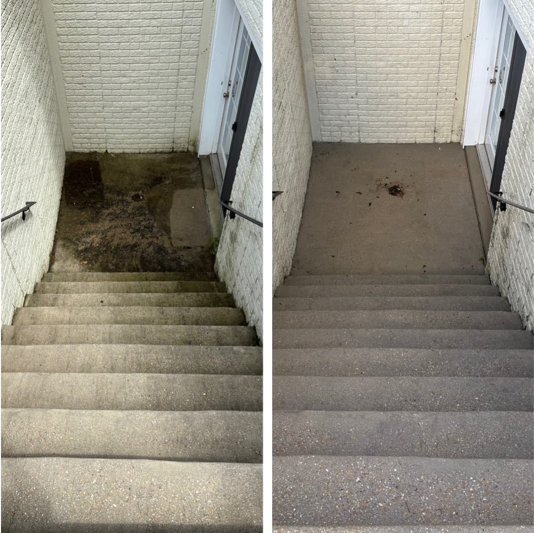 basement stairwell cleaning, heavy mold and dirt removed from the concrete steps and landing, Maryland