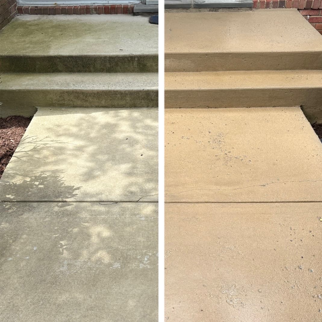 green algae removal from concrete front steps and walkway, surface brightened, Maryland