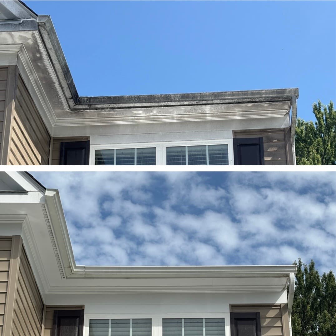 gutter cleaning and brightening, black tiger-stripe streaks removed from white gutters and fascia, Maryland