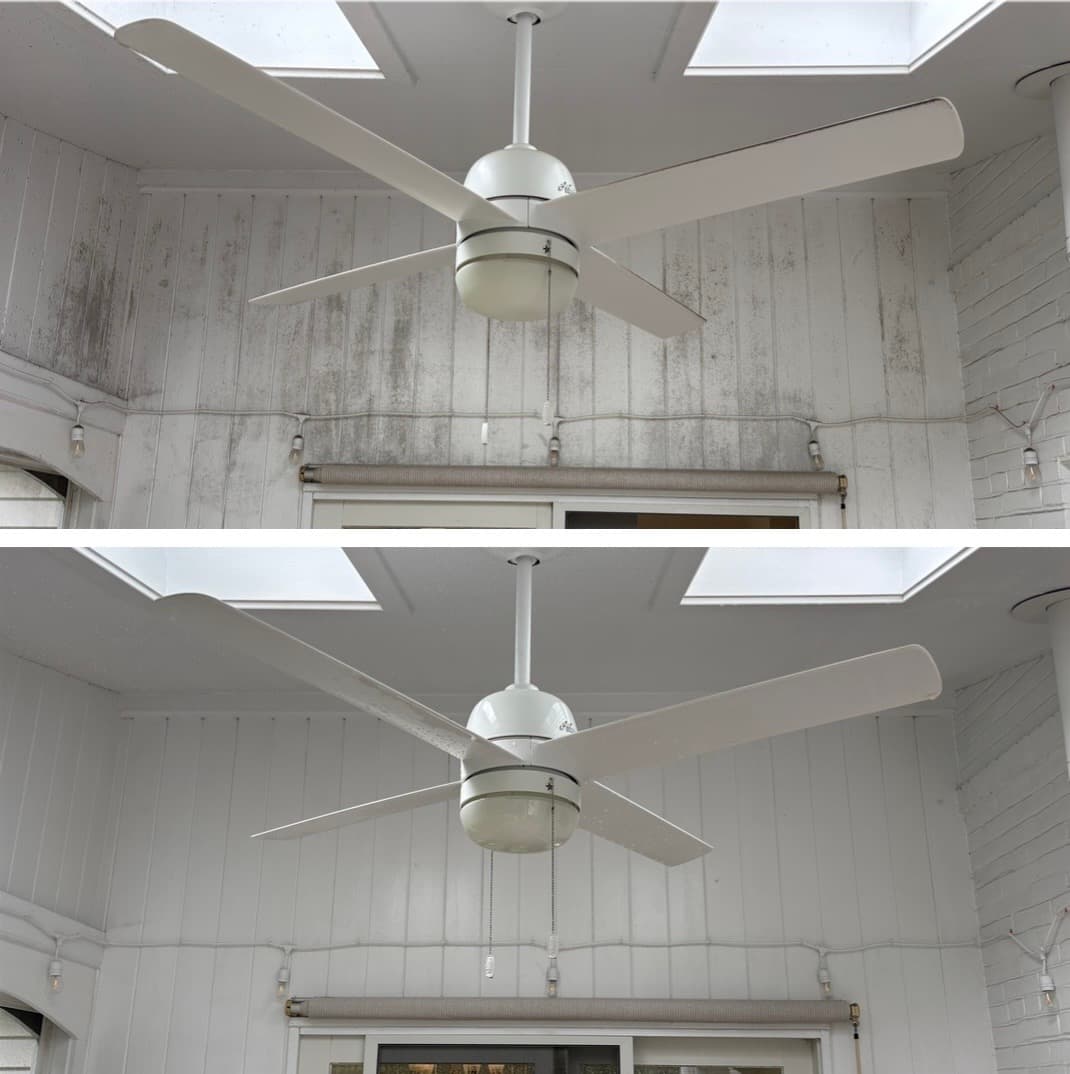porch ceiling and beadboard cleaning, black mildew removed from the painted boards around the fan, Maryland