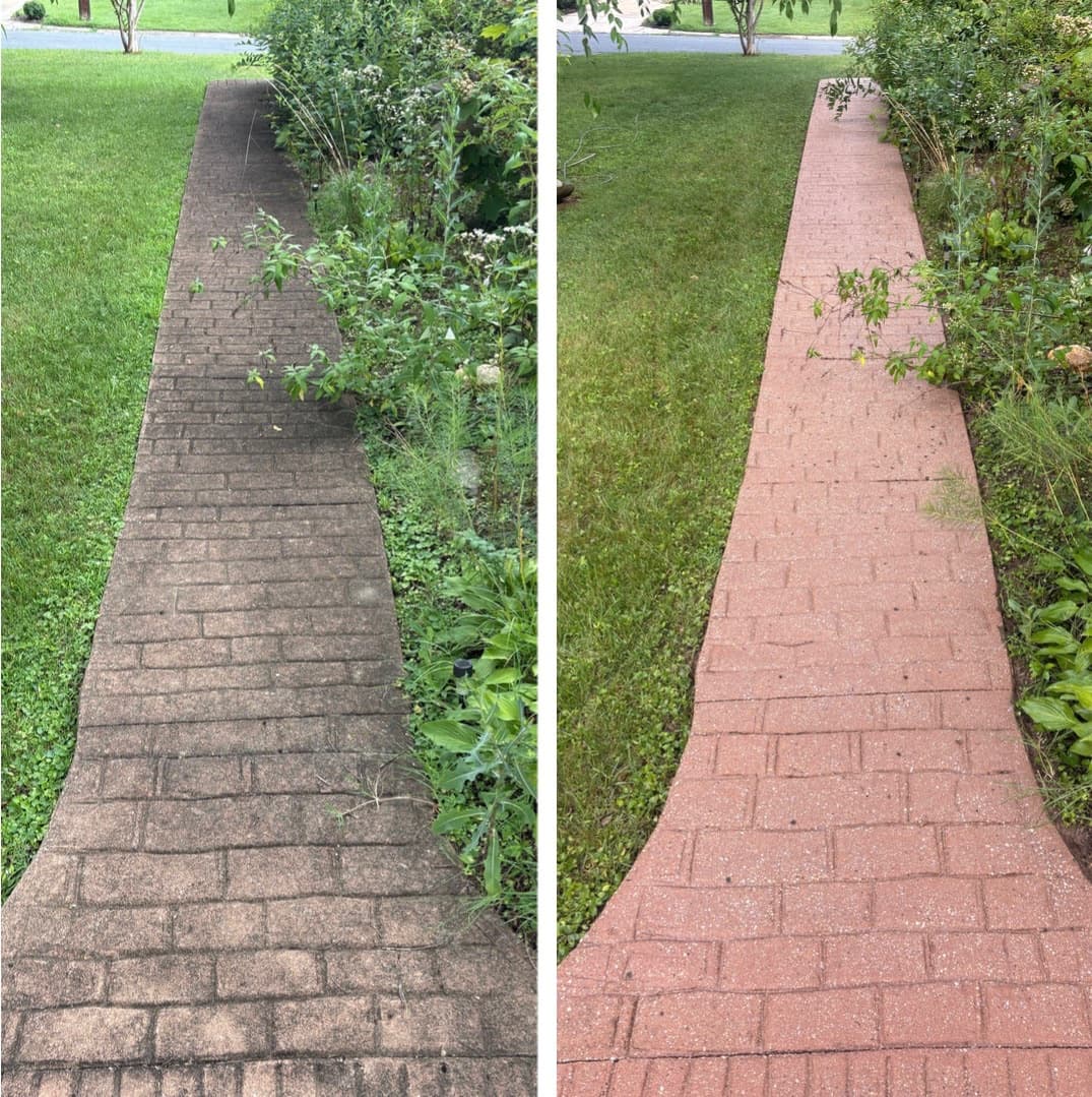power washing a brick paver walkway, dark green growth removed from the pavers and joints, Maryland