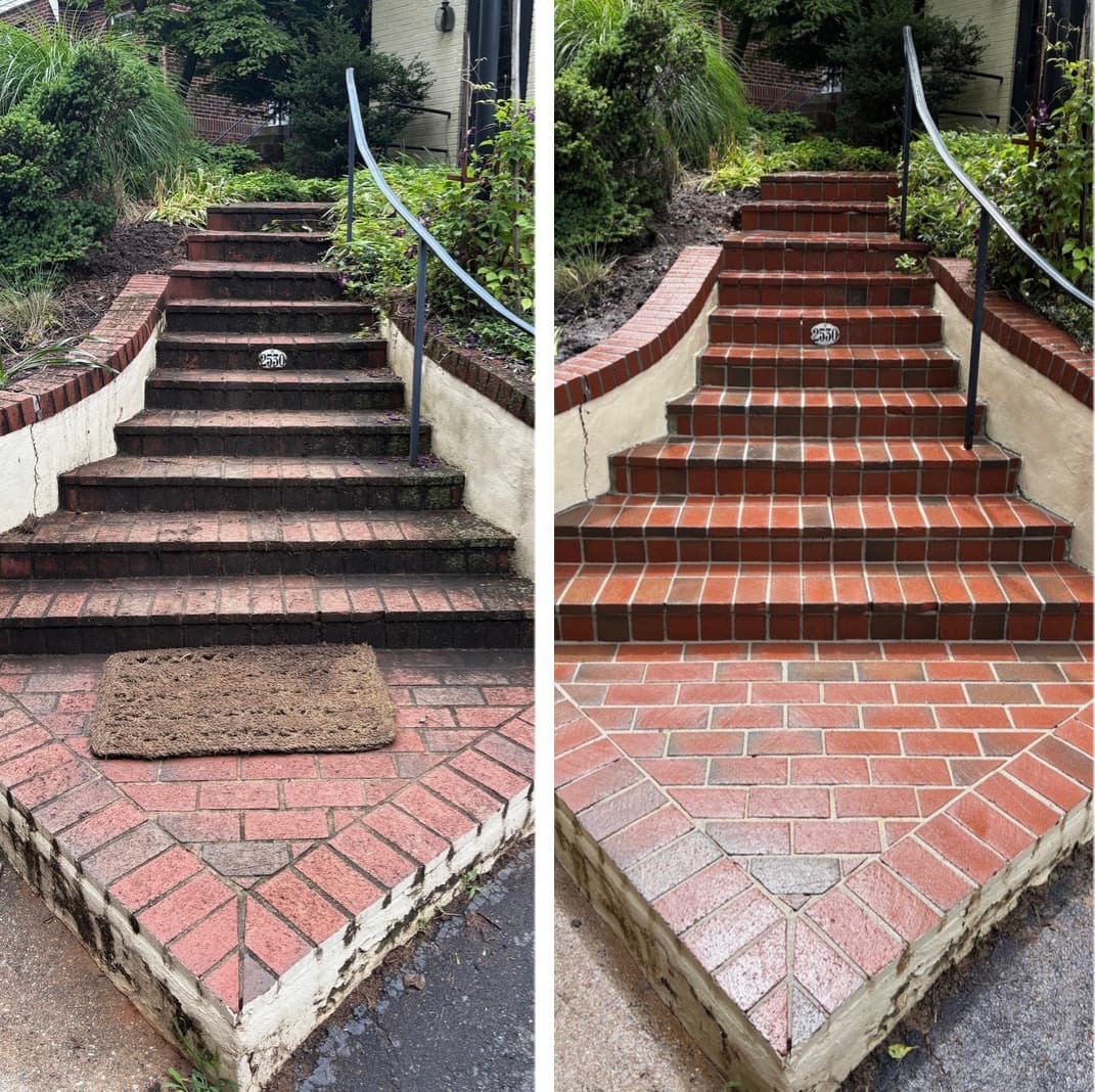 brick steps and walkway cleaning, moss and algae removed from a long stair flight, Maryland