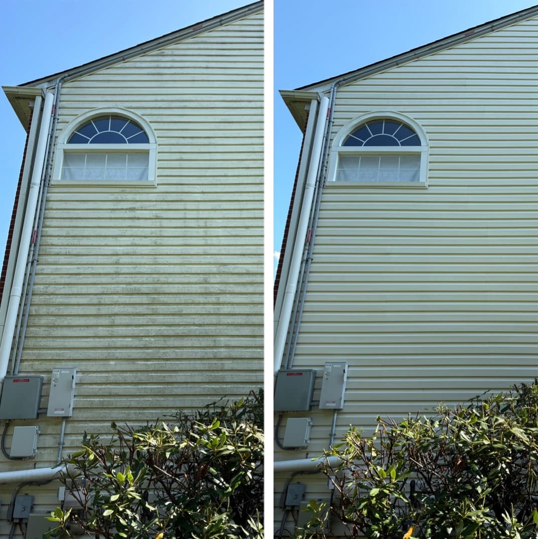house washing a two-story vinyl gable, heavy green algae stripped off the siding, Montgomery County MD