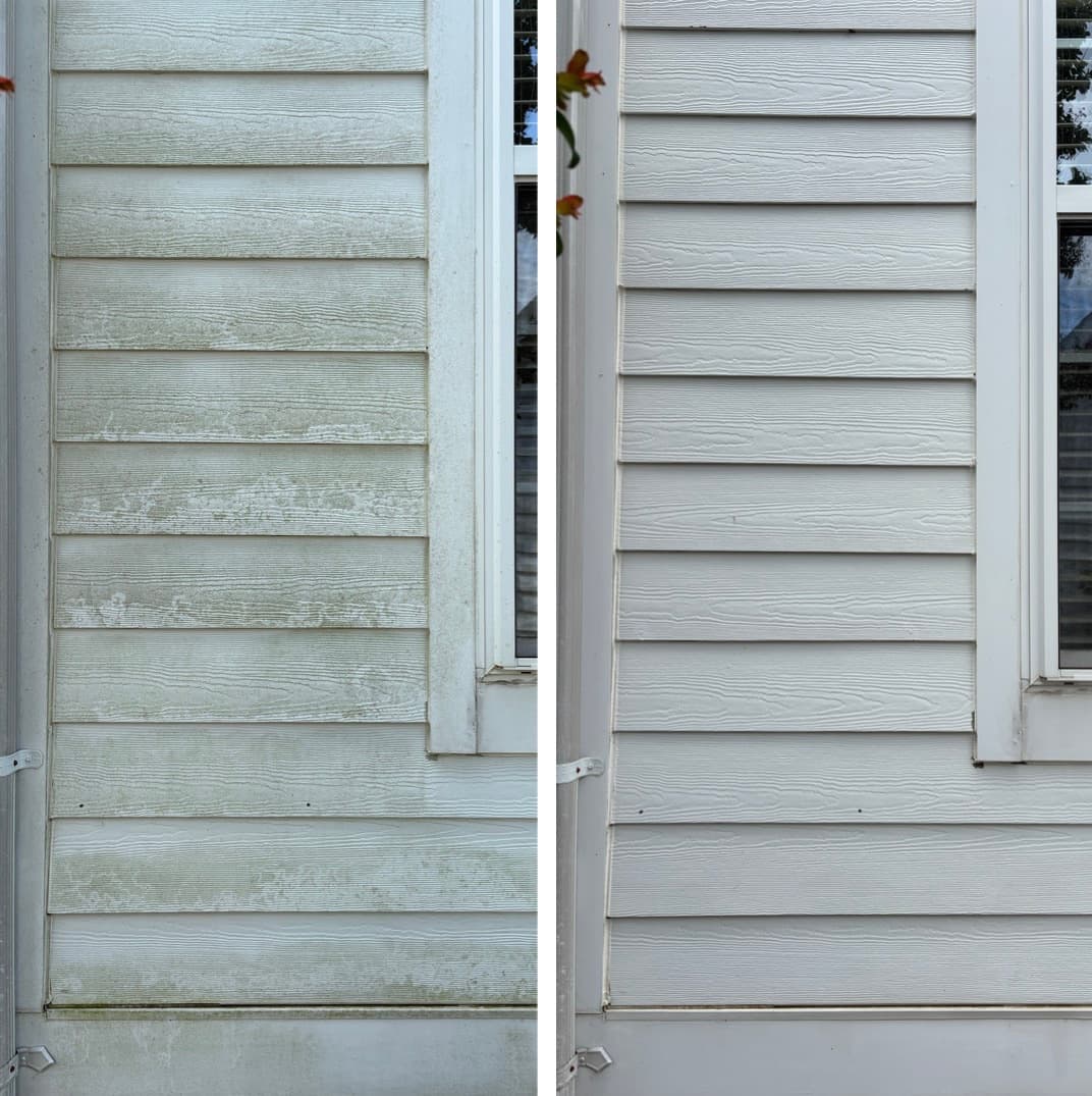 close-up of house washing lap siding, green mold film lifted off beside the window trim, Maryland