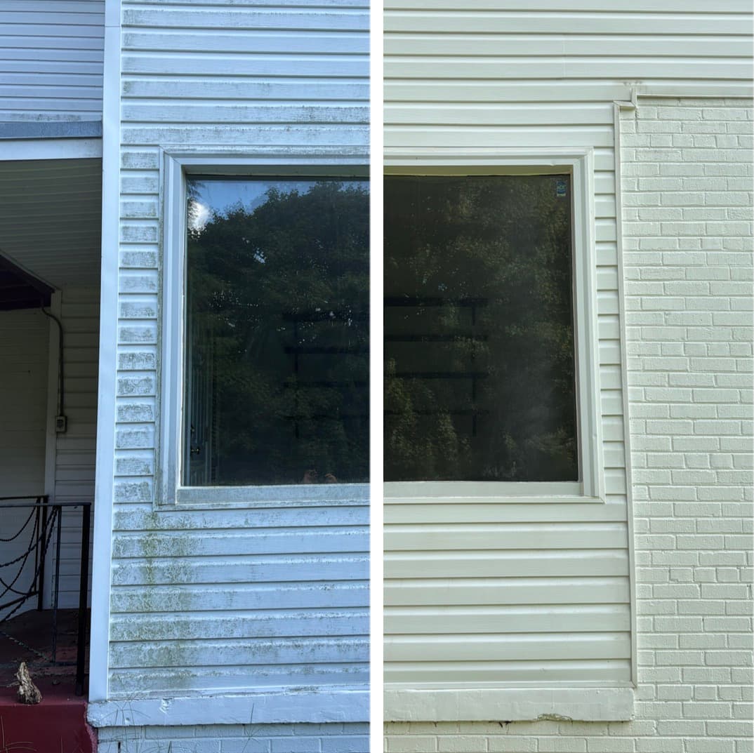 house washing vinyl siding and painted brick, heavy green algae removed from both, Maryland
