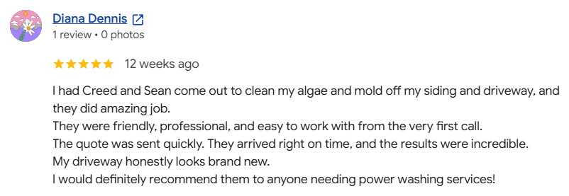 Google review from Diana Dennis, 5 out of 5 stars