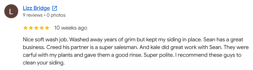 Google review from Lizz Bridge, 5 out of 5 stars
