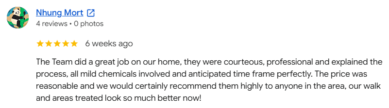 Google review from Nhung Mort, 5 out of 5 stars